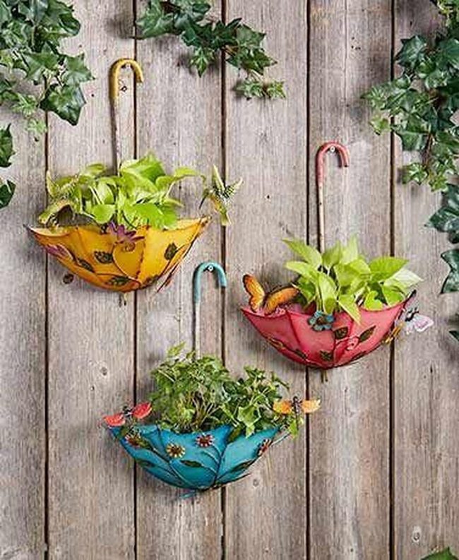 Umbrella Planters With Butterfly Details