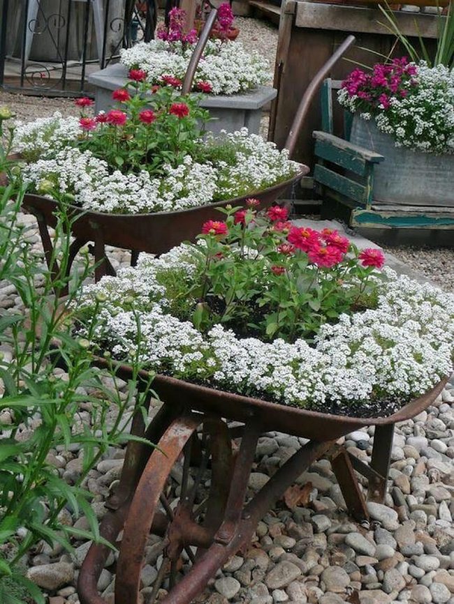 Rusted Metal Blooms