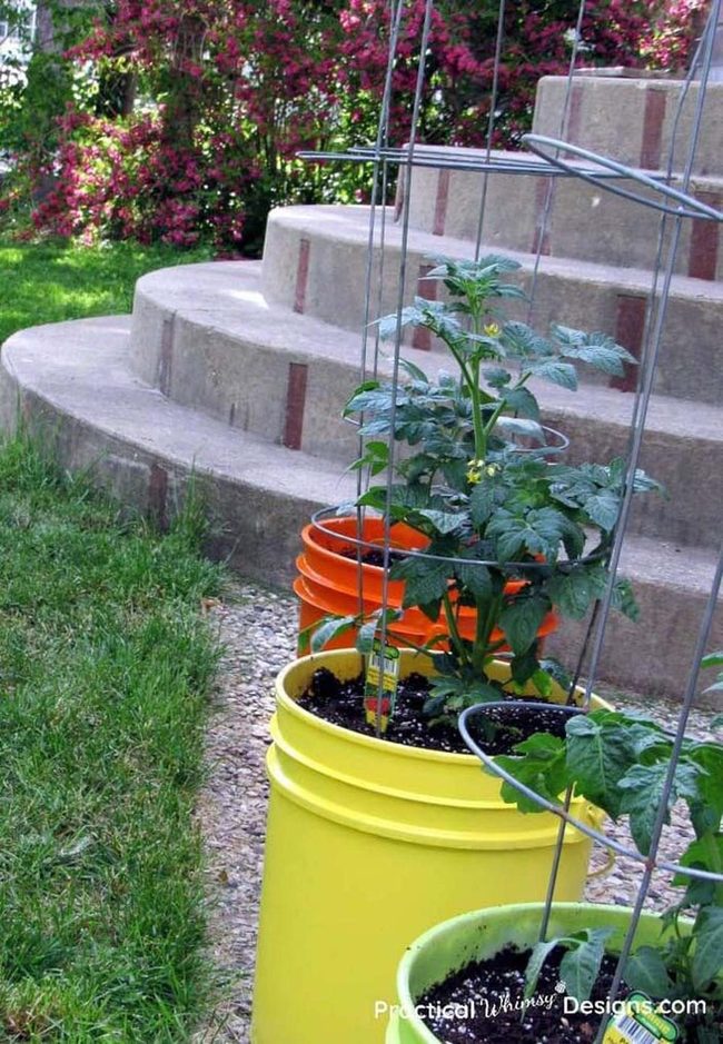 Painted Metal Buckets For Gardens