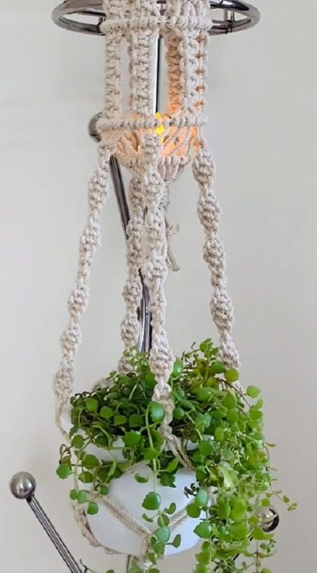 Woven Cotton Plant Suspenders