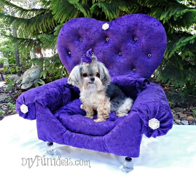 Purple Heart Pet Throne