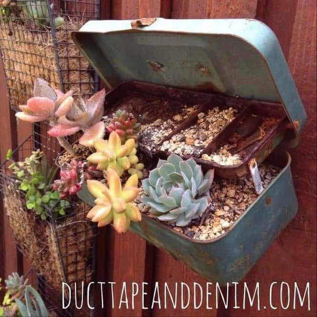 Weathered Tackle Box Succulents