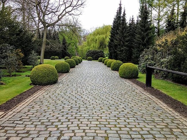 Stone Pathways Through Garden