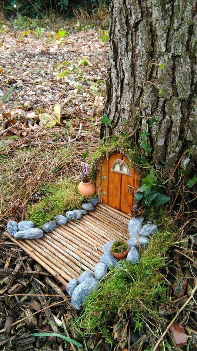Fairy Door In Tree Bark
