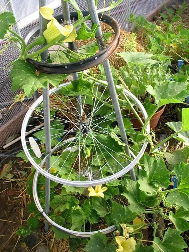 Bicycle Wheel Garden Trellis