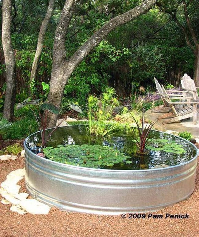 Galvanized Tank Garden Pond