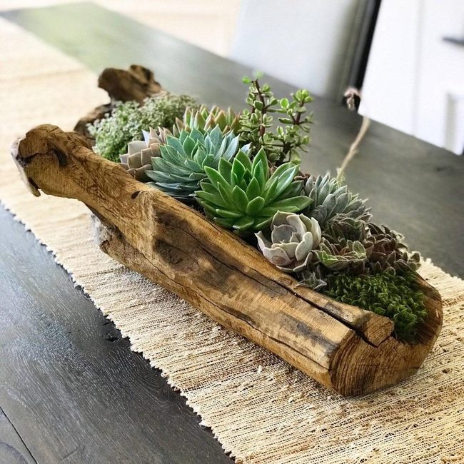 Weathered Wood Succulent Nests