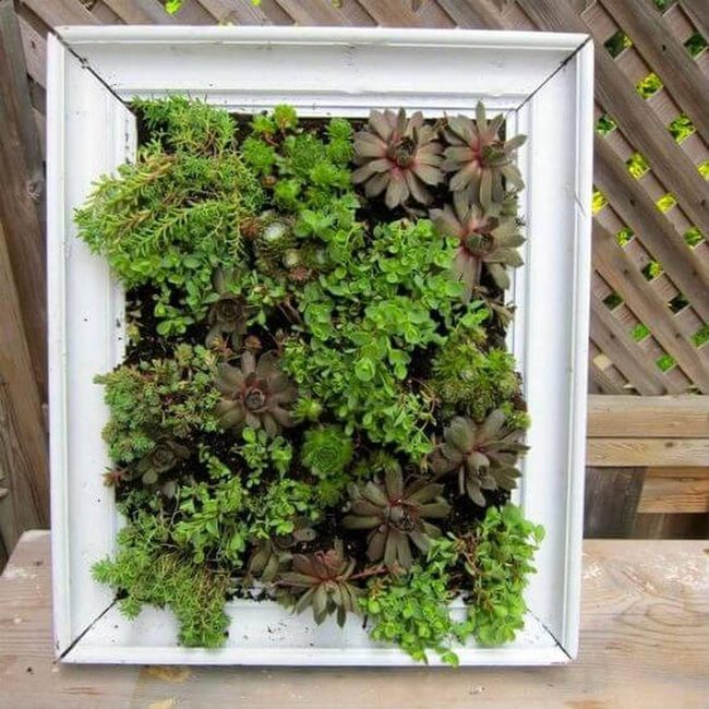 Green Living Wall Garden