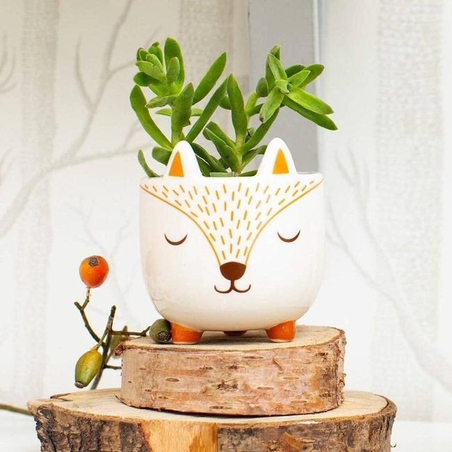 Orange Legs Plant Vessel