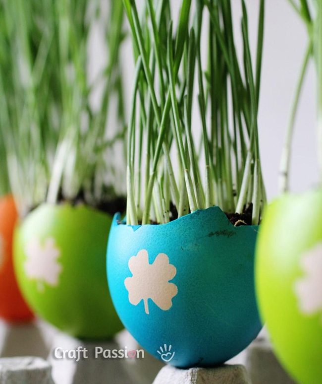 Painted Eggshell Sprout Garden