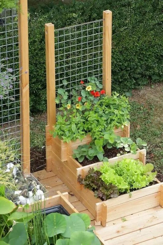 Vertical Edible Living Walls