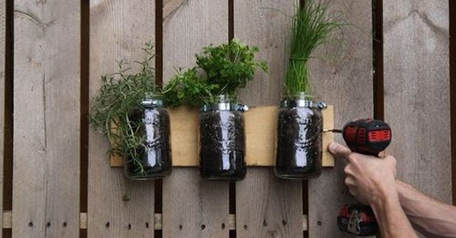 Glass Jar Herb Wall