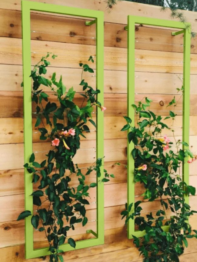 Lime Frames With Cascading Greenery