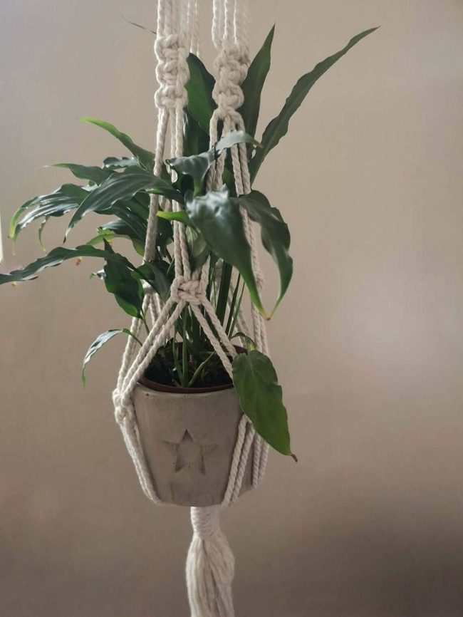 Grey Concrete Pot, Macrame Cradle