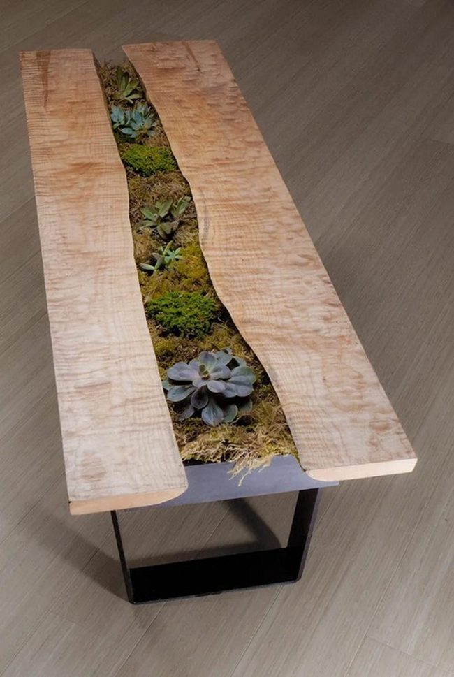 Green Succulent Moss Dividers