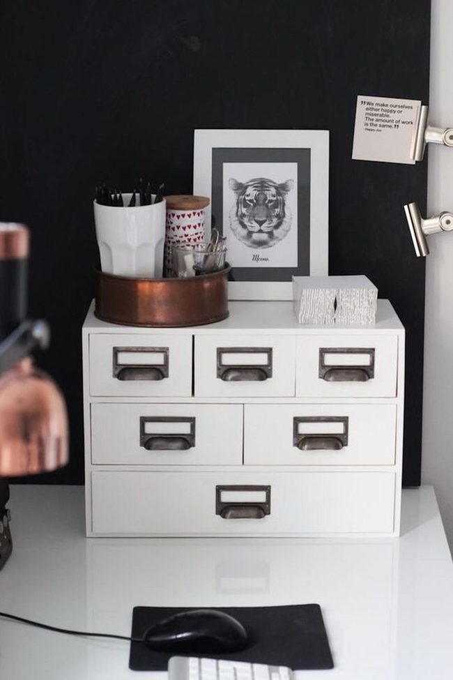 White Studio Tiger Statement