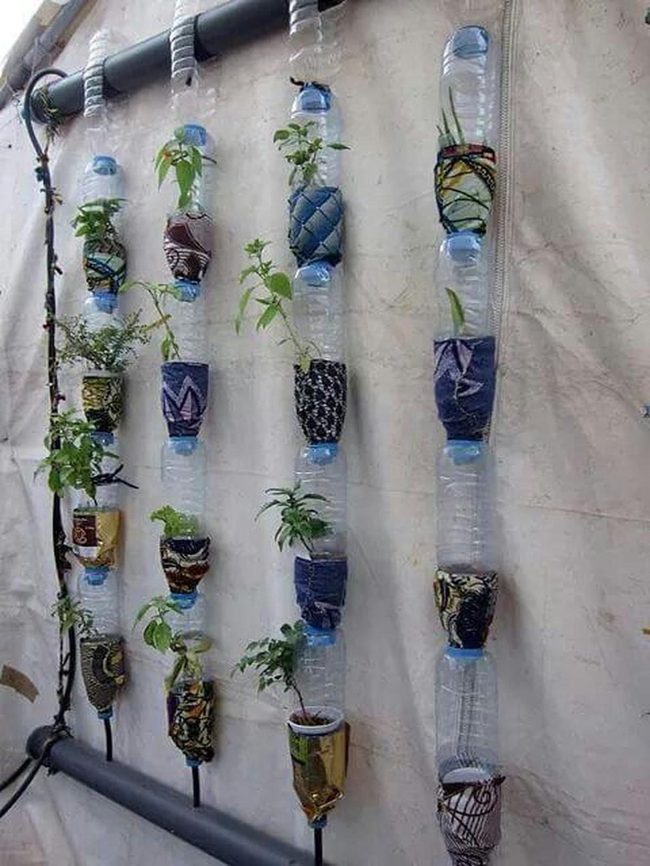 Fabric-Wrapped Bottle Gardens