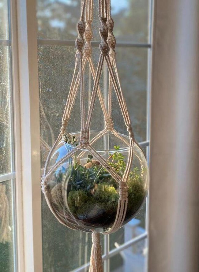 Suspended Glass Succulents