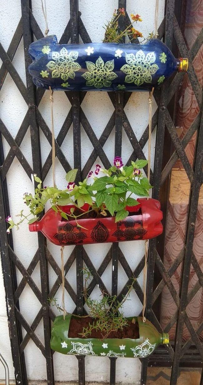 Recycled Bottles, Living Garden