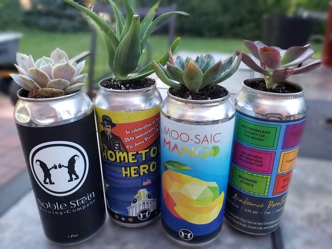 Multicolor Tin Can Planters