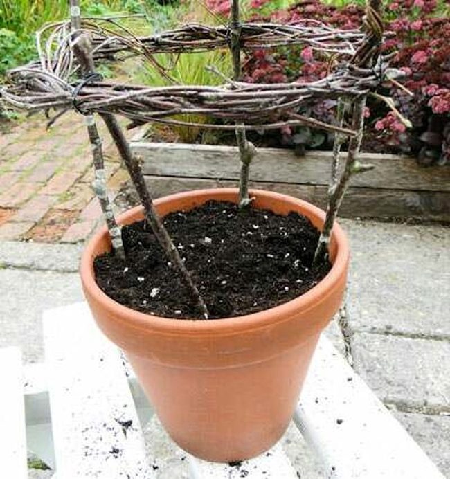 Natural Branch Vegetable Trellises