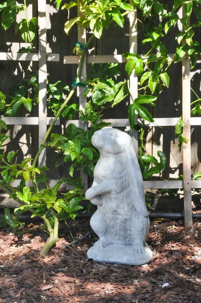 Painted Garden Statues Pop