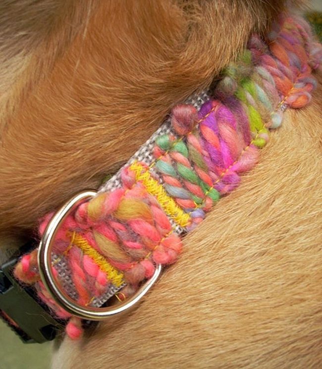 Braided Rainbow Pet Statements