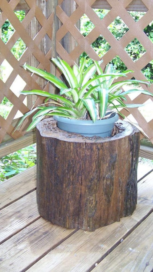 Natural Wood Stump Planter
