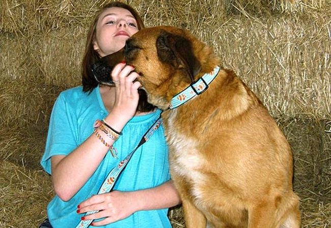 Brown Fur, Gentle Touch