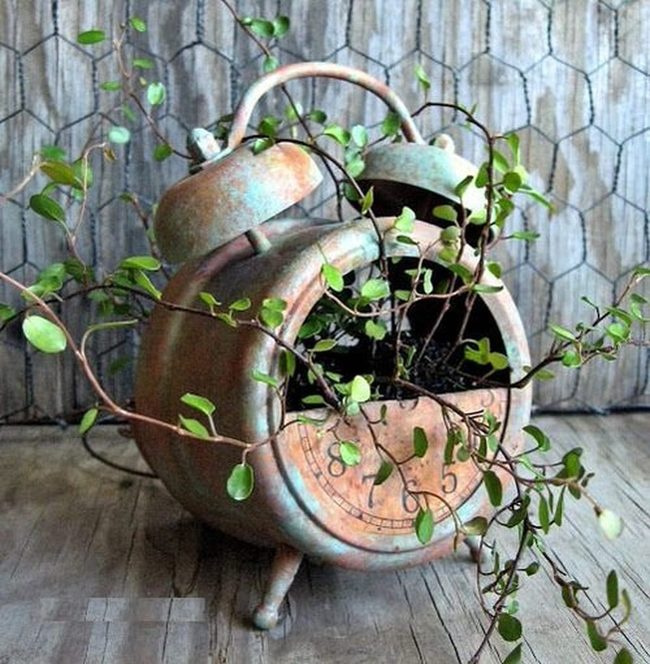 Succulents Through Vintage Gears