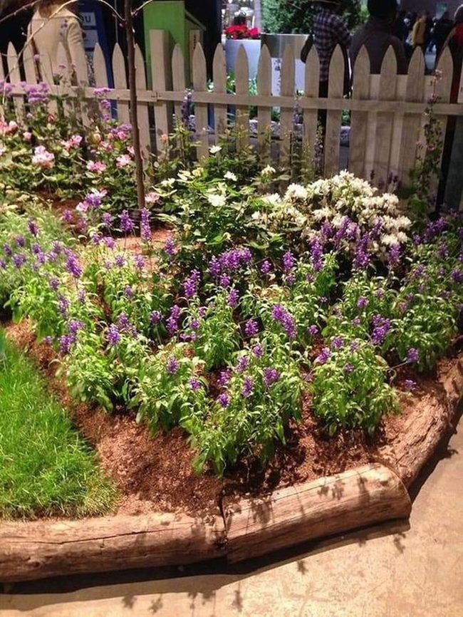 Purple And White Flower Corner