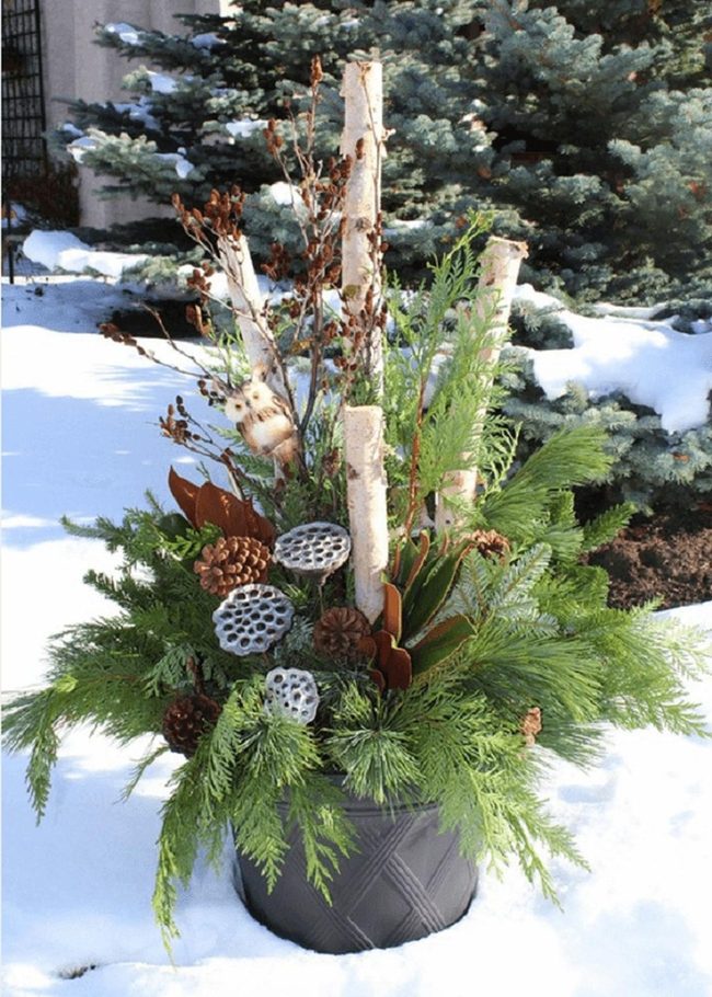 Birch Log Planters With Evergreen