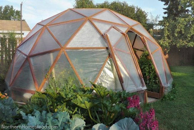 Golden Glass Garden Dome