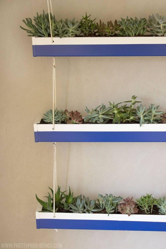 Blue Striped Succulent Gutters