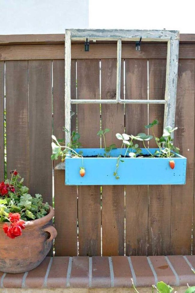 Blue Drawer Window Planter