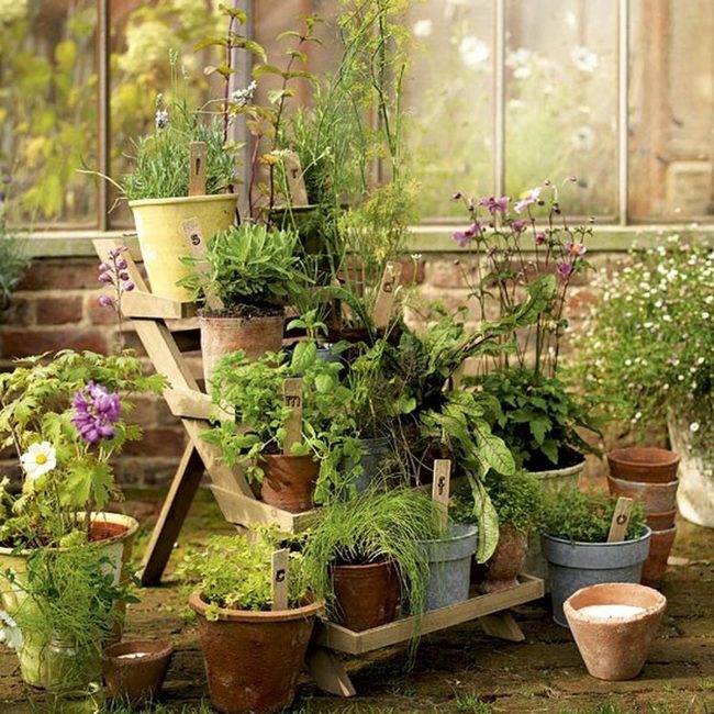 Golden Greenhouse With Green Botanicals