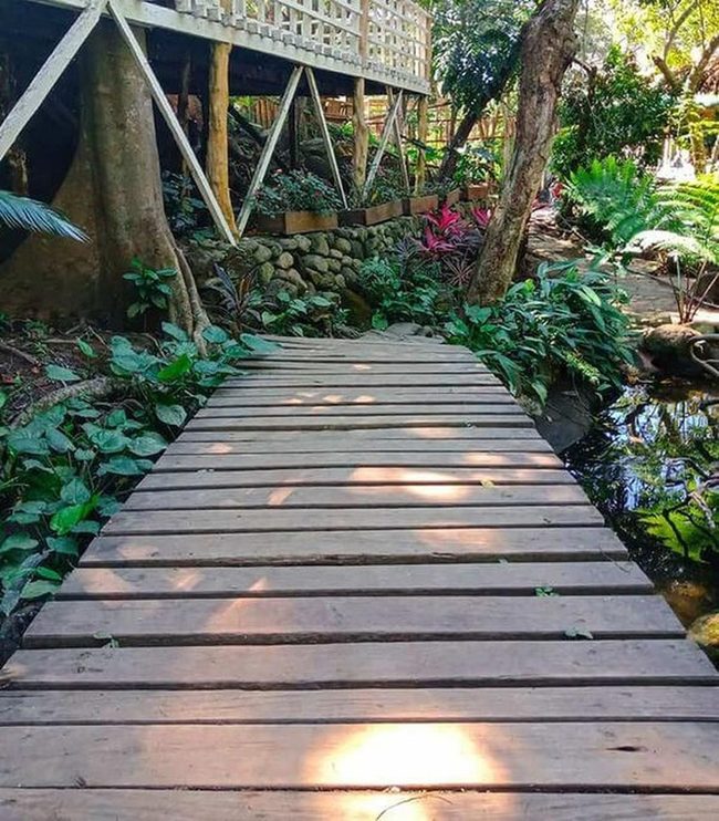 Pallet Wood Garden Pathway