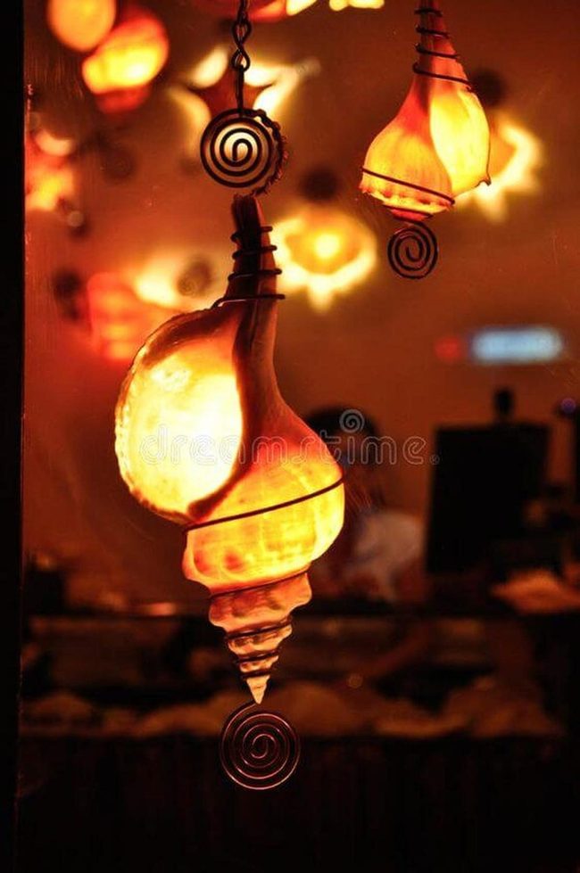 Luminous Seashell Fixtures