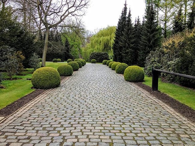 Cobblestone Path Through Geometric Topiaries