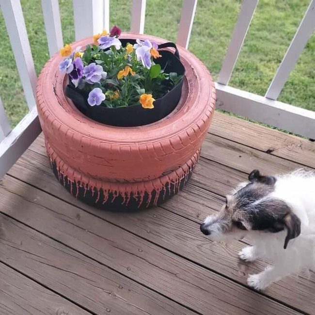 Painted Tire Flower Planter