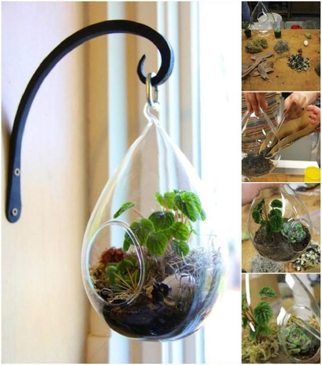 Glass Terrarium Greenery