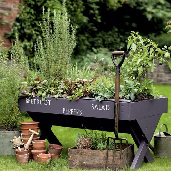 Sunlit Raised Beds, Fresh Vegetables