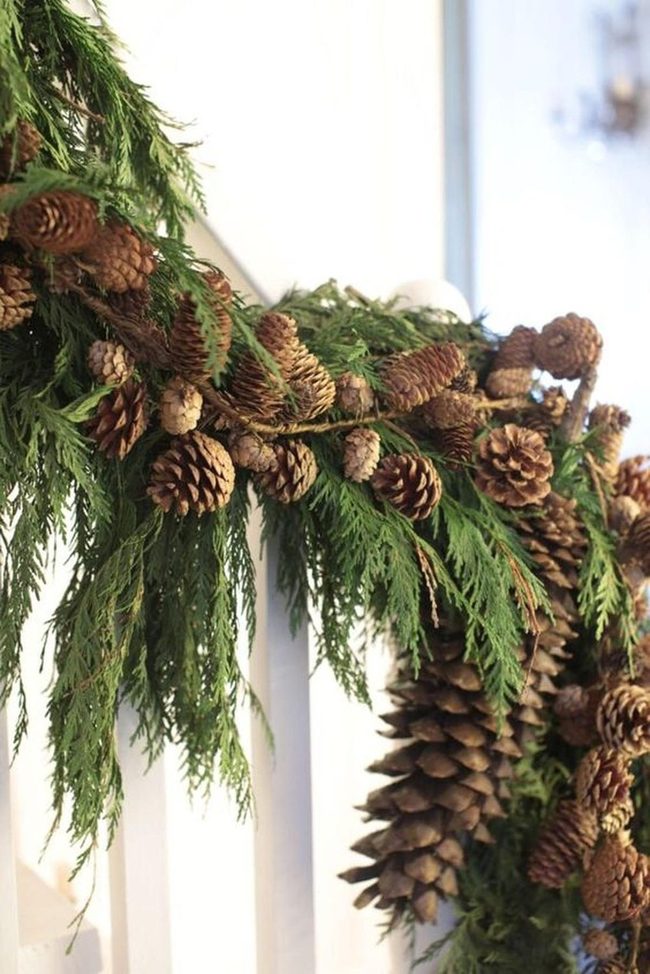 Green Pine Branches White Banister