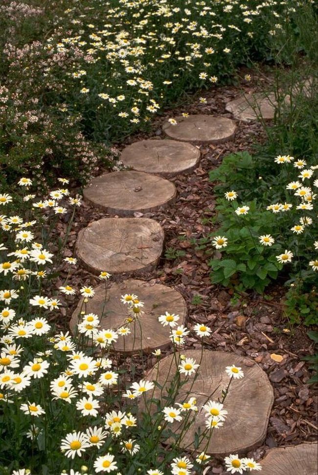 Wildflower Path Through Green