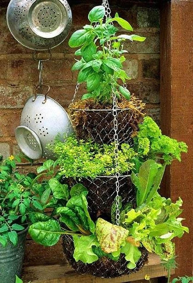 Green Cascade Kitchen Garden