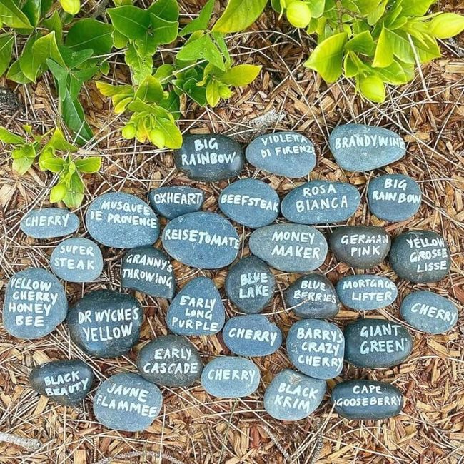 Hand-Painted Stone Plant Labels