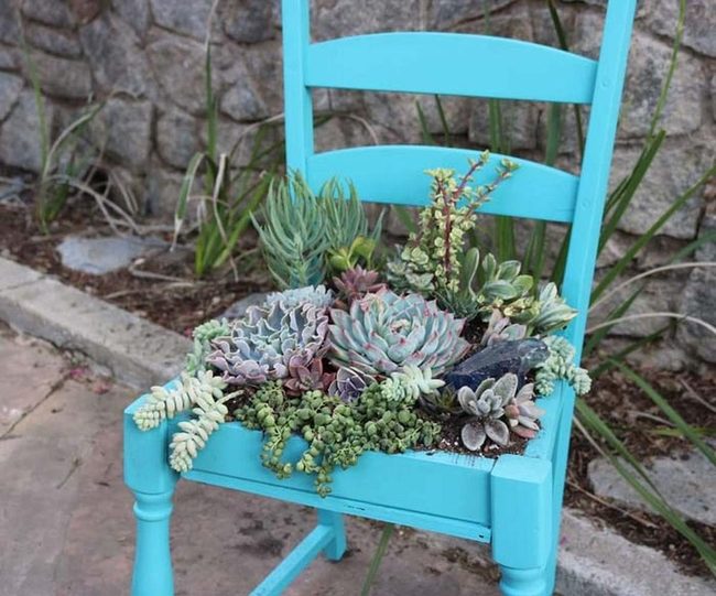 Painted Wood Succulent Planter