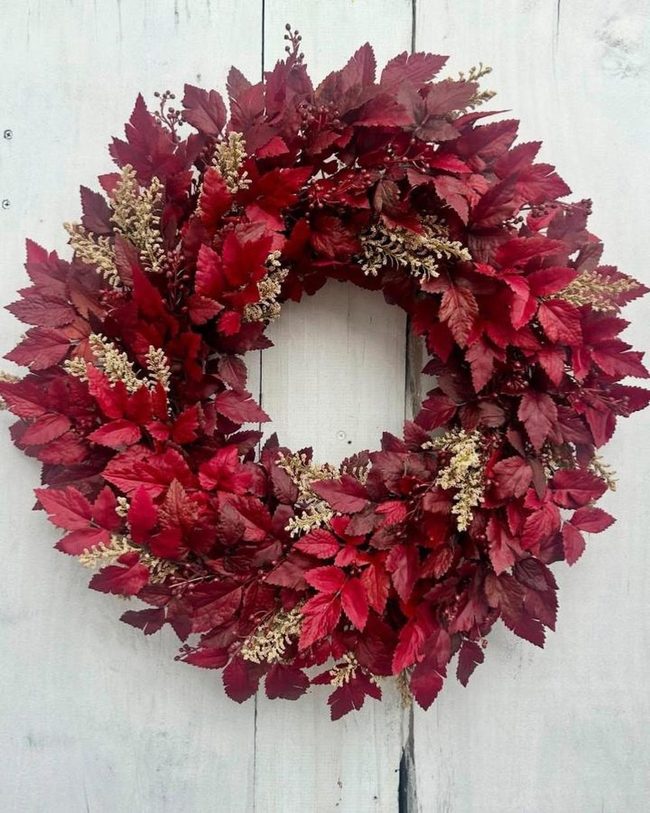Burgundy Coleus Leaves And Golden Pods
