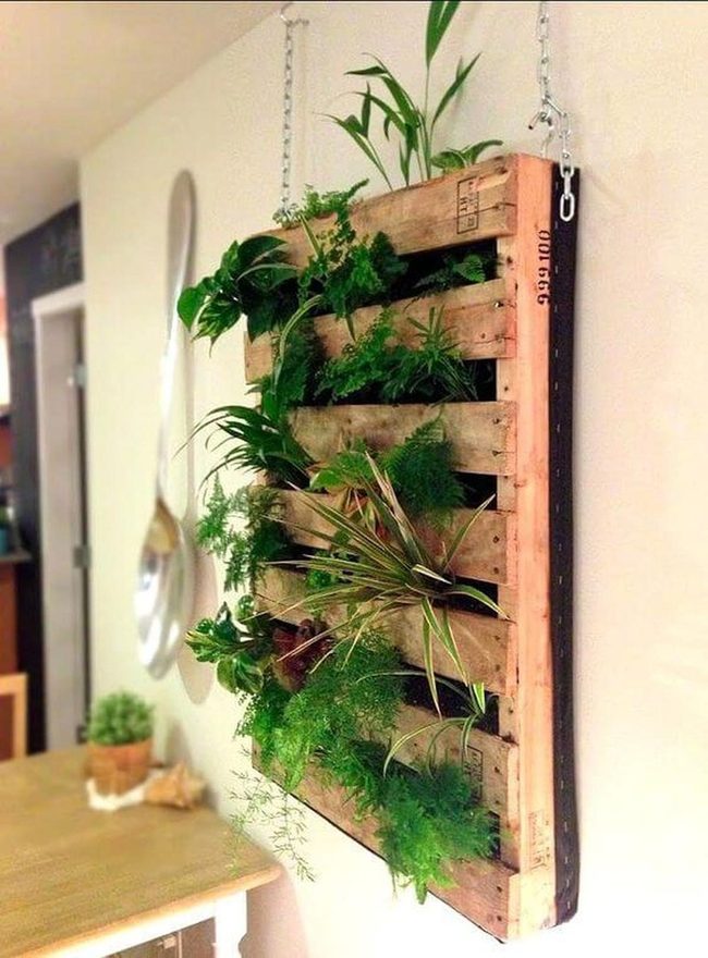 Vertical Wood Pallet Garden