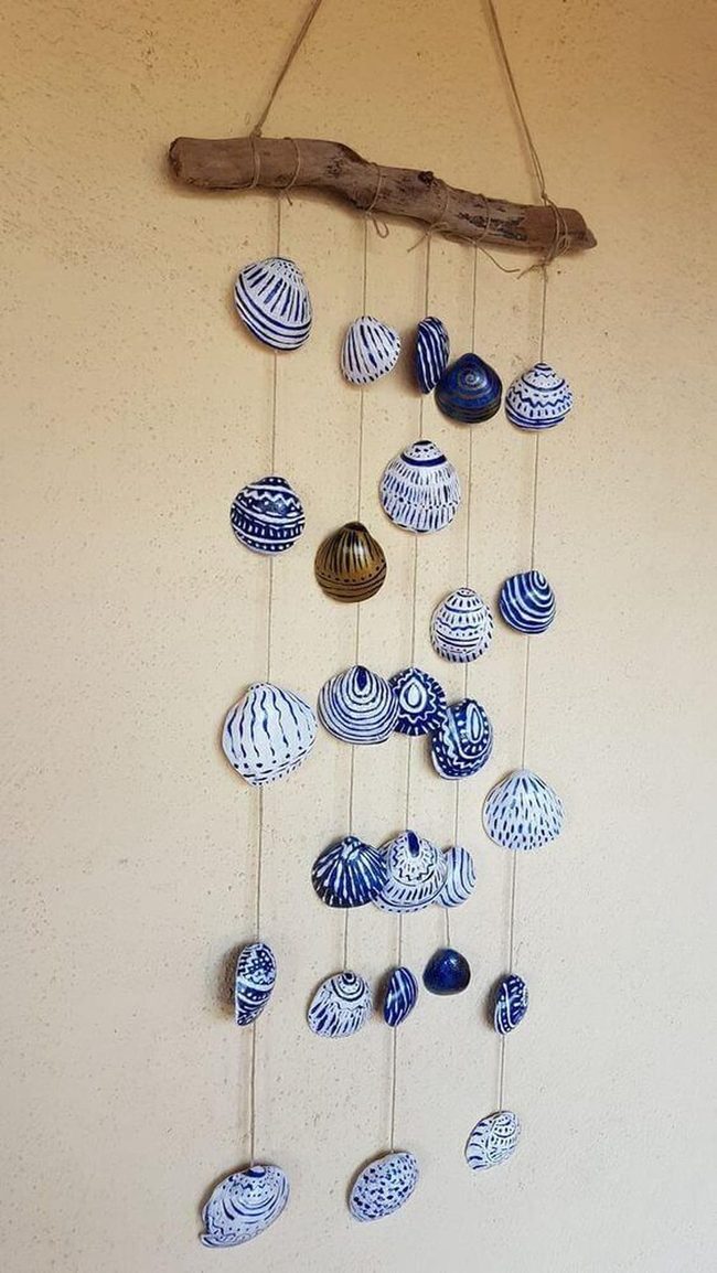Weathered Shells And Driftwood
